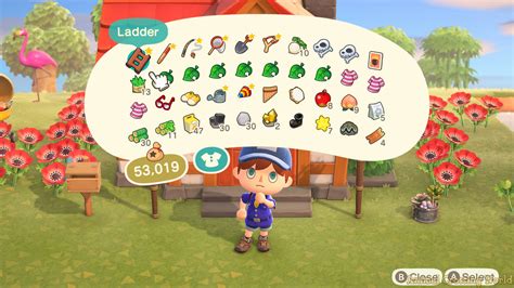 animal crossing new horizons inventory.